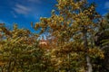 View of the old historic Ksiaz Castle - autumn castle - panorama with a view of the KsiÃâ¦ÃÂ¼ Castle